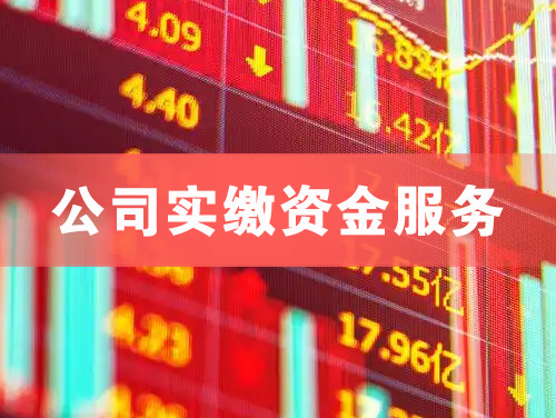 鄂州公司实缴资金服务