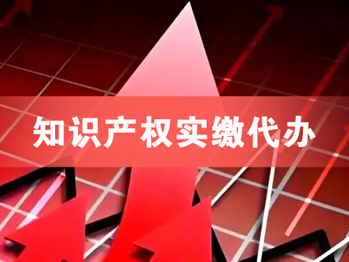 鄂州知识产权实缴资本代办